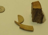 pack of 3 pieces of Tusk, Mastodon Brown/white Assorted shapes