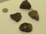 petrified wood Assorted shapes