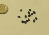 pack of 11 blue black faceted oval sapphires