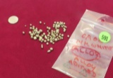 alloy casting grain 31.55 grams for  making 14k white gold