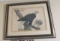 signed John A Richter framed Eagle print frame size 27 x 35 has some foxing