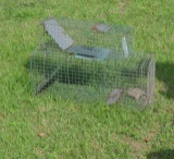 small animal traps for cats, coons possums and others
