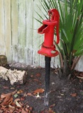 pitcher water pump at side yard