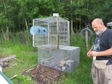 large poultry or bird cages (1) 42