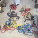 mixed safety harnesses