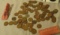 mixed loose wheat pennies