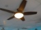 ceiling fans with globe lights