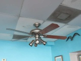 Ceiling fans with quad can light kits