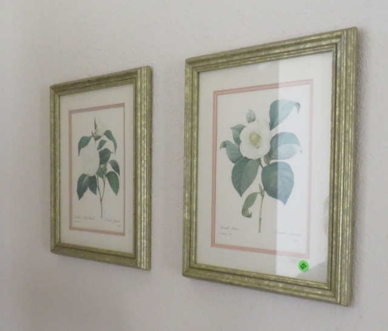 Pair of Framed botianical prints, 14"x17"
