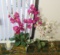 mixed group electric candle, pair artificial potted orchids
