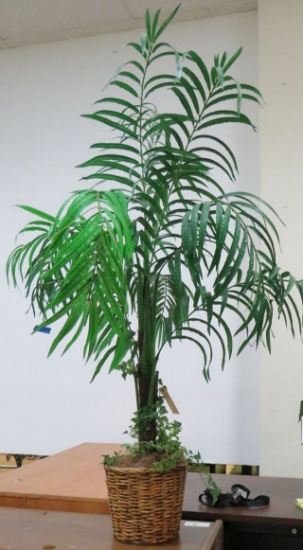 Palm Tree Planter, 6'