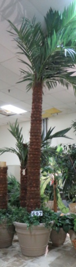 14' Palm Tree in White Planter, 2 Piece