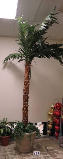 14' Palm Tree in Large White Planter