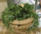 Large Urn Ivy Planter