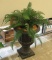 Tall Brown Urn with Ferns