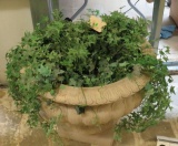 Large Urn Ivy Planter
