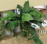 Foliage in Brass Planter