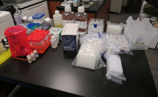 mixed lab supplies - test tubes, bottles, racks, injectors