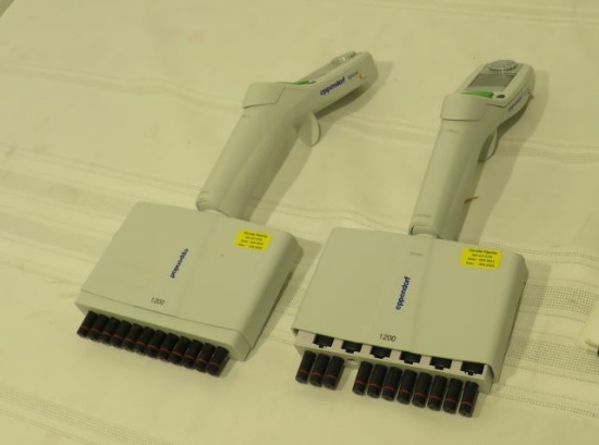Eppendorf 1200 digital read multi channel pipette