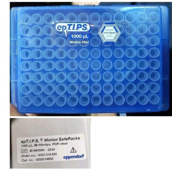 Ep t.I.P.S. Motion safRacks 40-1000 pl cases of 10 racks with 98 filtertips PCR clean