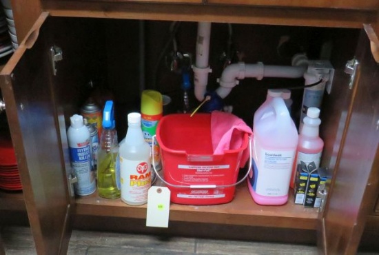 cleaning materials under sink