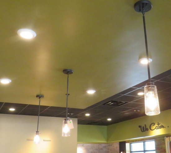 single bulb drop lights