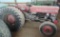 Massey-Ferguson 135 gas tractor