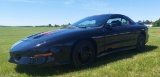 1994 PONTIAC Firebird Trans Am