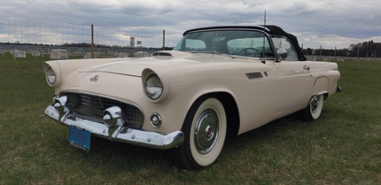 1955 FORD Thunderbird - Baby Bird