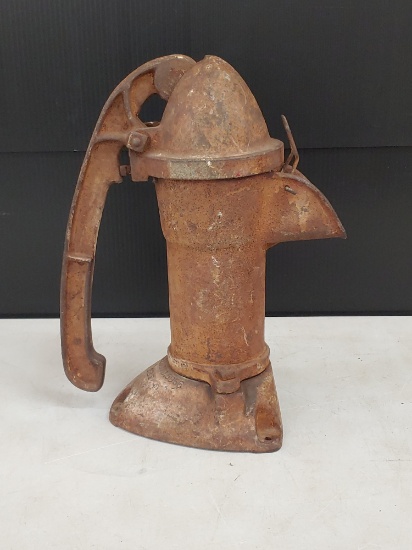 Cast Iron Pump Head 13.5" Tall