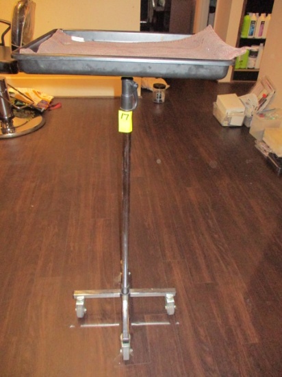 PORTABLE INSTRUMENT/TRAY HOLDER ON CASTERS