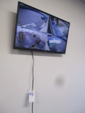 32 IN. VIDEO MONITOR ONLY BT T.C.L.