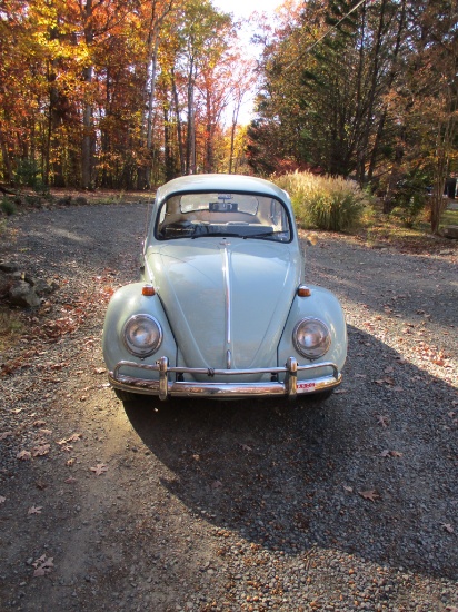 1966 VW BEETLE-ONE FAMILY OWNERSHIP SINCE NEW