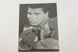Muhammad Ali signed autographed 8x10 photo Certified Coa