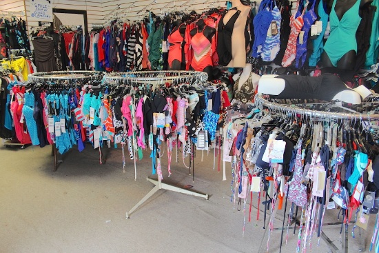 BULK  SALE  OF  NAME  BRAND  BATHING  SUITS