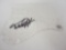 Michael J Fox signed autographed guitar pick guard Certified Coa