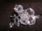 Swarovski crystal Roses.