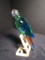 Swarovski crystal Macaw on a wood base.