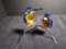 Swarovski crystal Kingfishers on a metal branch.