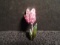 Swarovski crystal Mothers Day Tulip Pin/Brooch.