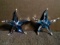 Pair of Swarovski crystal Starfish, Cantil Ocean Blue.