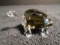 Swarovski crystal Galapagos Tortoise.
