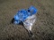 Swarovski crystal Blue Dart Frog