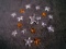 Collection of Swarovski Crystal Starfish. Member Exclusive.