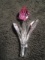 Swarovski crystal Pink Tulip