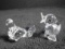 Pair of Swarovski crystal birds