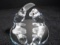 Pair of Swarovski crystal birds