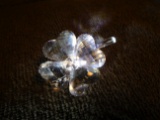 Swarovski crystal Four Leaf Clover. Hand signed by the artist Anton Hirzinger.