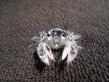 Swarovski crystal Mini Crab. This is part of the 