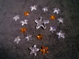 Collection of Swarovski Crystal Starfish. Member Exclusive.
